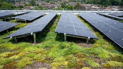 gRoof Biosolar green roof with integrated solar