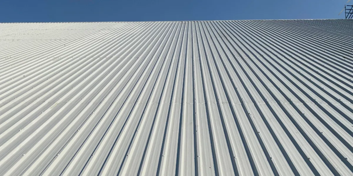 Img blog issues with metal roofs updated