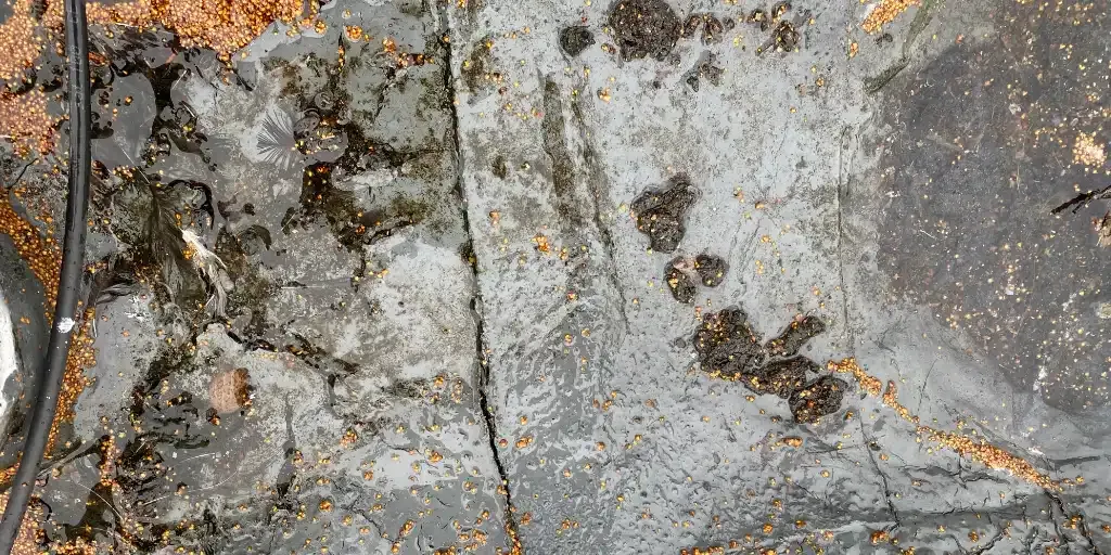 Img damaged roof